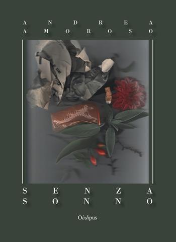 Senza sonno - Andrea Amoroso - Libro Oedipus 2018, Intrecci | Libraccio.it