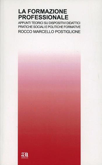 La formazione professionale. Appunti teorici su dispositivi didattici, pratiche sociali e politiche formative - Rocco Marcello Postiglione - Libro Anicia 2012, Teoria e storia dell'educazione | Libraccio.it