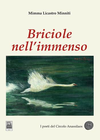 Briciole nell'immenso - Mimma Licastro Minniti - Libro Città del Sole Edizioni 2015, Cantieri poetici | Libraccio.it