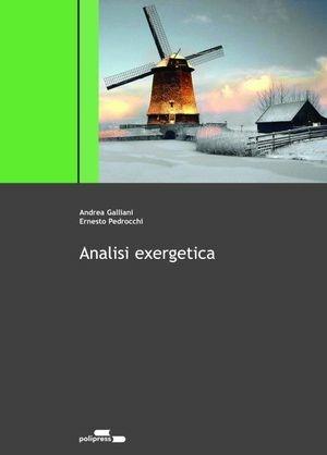 Analisi exergetica - Andrea Galliani, Ernesto Pedrocchi - Libro Polipress 2006 | Libraccio.it