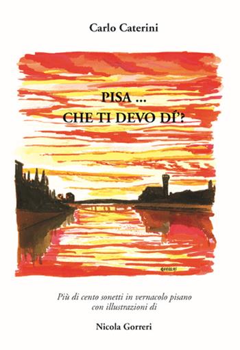 Pisa... Che ti devo dì? Più di cento sonetti in vernacolo pisano - Carlo Caterini - Libro CLD Libri 2016 | Libraccio.it