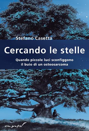 Cercando le stelle. Quando piccole luci sconfiggono il buio di un osteosarcoma - Stefano Casetta - Libro Effatà Editrice 2010, Vita-grafie | Libraccio.it