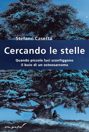 Cercando le stelle. Quando piccole luci sconfiggono il buio di un osteosarcoma - Stefano Casetta - Libro Effatà 2010, Vita-grafie | Libraccio.it