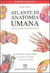 Atlante di anatomia umana. Corsi di anatomia macroscopica - Milan Klima - Libro Franco Muzzio Editore 2002, Scienze naturali | Libraccio.it