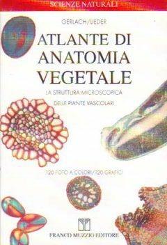 Atlante di anatomia vegetale. La struttura microscopica delle piante vascolari - Dieter Gerlach, Johannes Lieder - Libro Franco Muzzio Editore 2002, Scienze naturali | Libraccio.it