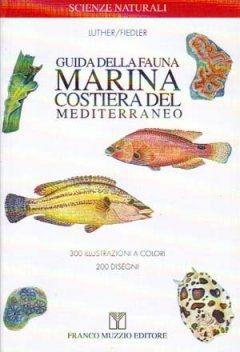 Guida alla fauna marina costiera del Mediterraneo - Wolfgang Luther, Konrad Fiedler - Libro Franco Muzzio Editore 2002, Scienze naturali | Libraccio.it