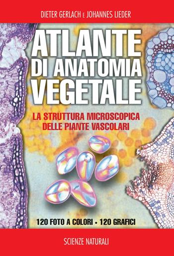 Atlante di anatomia vegetale - Dieter Gerlach, Johannes Lieder - Libro Franco Muzzio Editore 2014, Scienze naturali | Libraccio.it