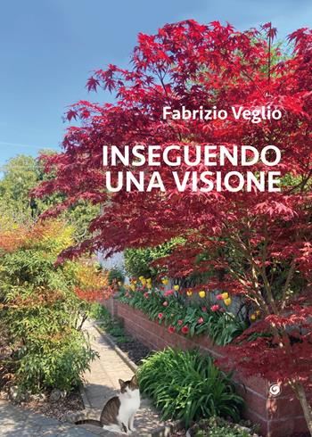 Inseguendo una visione - Fabrizio Veglio - Libro Genesi Editrice 2023 | Libraccio.it