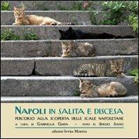 Napoli in salita e discesa. Percorso alla scoperta delle scale napoletane - Gabriella Guida - Libro Intra Moenia 2013 | Libraccio.it