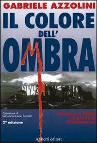 Il colore dell'ombra - Gabriele Azzolini - Libro Aliberti 2003 | Libraccio.it