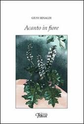 Acanto in fiore