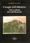 I luoghi dell'ebrezza. Vini e cultura dei colli bresciani - Carla Boroni, Anna Bossini - Libro Vannini 2015 | Libraccio.it