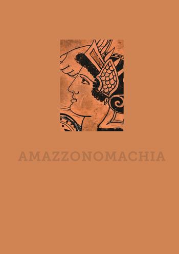 Amazzonomachia - Valeria Sampaolo, Luigi Spina - Libro 5 Continents Editions 2017, Oggetti rari e preziosi al MANN | Libraccio.it