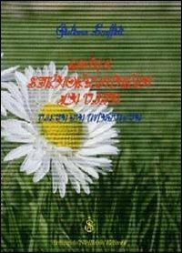 Com'è straordinaria la vita vissuta da un'adulta - Giuliana Scaffidi - Libro Armando Siciliano Editore 2007, Poesia | Libraccio.it