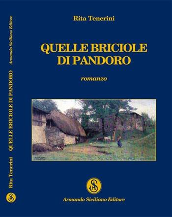 Quelle briciole di pandoro - Rita Tenerini - Libro Armando Siciliano Editore 2013, Narrativa | Libraccio.it