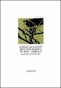 Processo edilizio in Nord America. Bilanci, tendenze, gestione ed evoluzione - Roberto Pietroforte - Libro Gangemi Editore 1998, Arti visive, architettura e urbanistica | Libraccio.it
