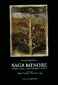 Saga minore. Da Adua ad oggi il romanzo di un secolo - Alcide Pizzinelli - Libro Gangemi Editore 1997, Letteratura e linguistica | Libraccio.it