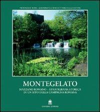 Montegelato-Mazzano Romano. Stratigrafia storica di un sito della campagna roma  - Libro Gangemi Editore 1998, Arti visive, architettura e urbanistica | Libraccio.it