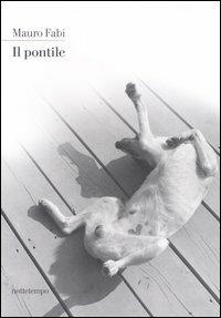 Il pontile - Mauro Fabi - Libro Nottetempo 2006, Narrativa | Libraccio.it