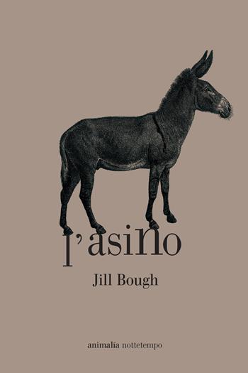 L'asino - Jill Bough - Libro Nottetempo 2018, Animalía | Libraccio.it
