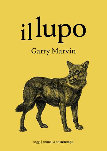 Il lupo - Garry Marvin - Libro Nottetempo 2021, Animalía | Libraccio.it
