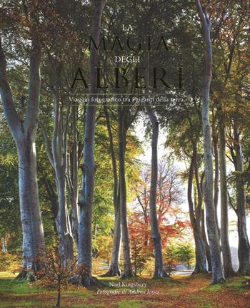 La magia degli alberi. Viaggio fotografico tra i giganti della terra. Ediz. illustrata - Noël Kingsbury - Libro Atlante 2016, Biosfera | Libraccio.it