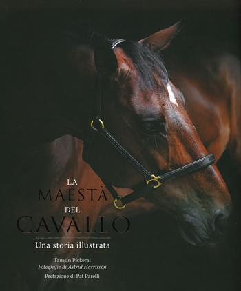 La maestà del cavallo. Una storia illustrata. Ediz. illustrata - Mike Unwin - Libro Atlante 2019 | Libraccio.it