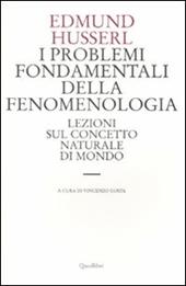 I problemi fondamentali della fenomenologia. Lezioni sul concetto naturale di mondo