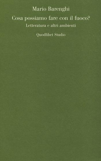 Cosa possiamo fare con il fuoco? Letteratura e altri ambienti - Mario Barenghi - Libro Quodlibet 2013, Quodlibet studio. Lettere | Libraccio.it