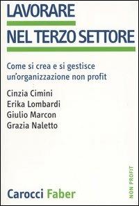 Lavorare nel terzo settore. Come si crea e si gestisce un'organizzazione non profit  - Libro Carocci 2005, Non profit | Libraccio.it