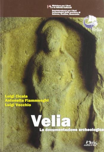 Velia. La documentazione archeologica - Luigi Cicala, C. Antonella Fiammenghi, Luigi Vecchio - Libro Naus 2005, Guide del parco archeologico di Velia | Libraccio.it