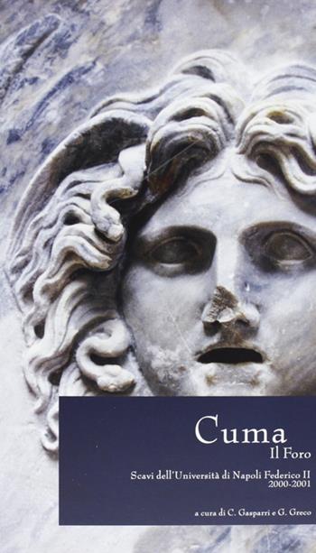 Cuma. Il Foro. Scavi dell'Università di Napoli Federico II, 2000-2001. Ediz. illustrata  - Libro Naus 2007, Quaderni del Centro studi Magna Grecia | Libraccio.it
