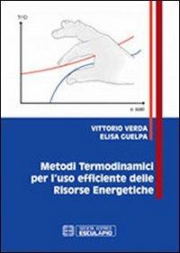 Metodi termodinamici per l'uso efficiente delle risorse energetiche - Vittorio Verda, Elisa Guelpa - Libro Esculapio 2013 | Libraccio.it