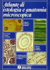 Atlante di istologia e anatomia microscopica  - Libro Esculapio 1979 | Libraccio.it