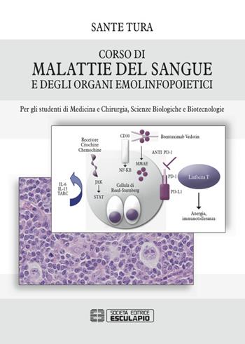 Corso di malattie del sangue e degli organi emolinfopoietici. Per gli studenti di medicina e chirurgia, scienze biologiche, biotecnologie - Sante Tura - Libro Esculapio 2015 | Libraccio.it