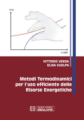 Metodi termodinamici per l'uso efficiente delle risorse energetiche - Vittorio Verda, Elisa Guelpa - Libro Esculapio 2015 | Libraccio.it