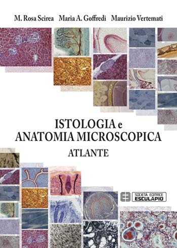 Istologia e anatomia microscopica. Atlante - Maurizio Vertemati, M. Rosa Scirea, Maria Albina Goffredi - Libro Esculapio 2015 | Libraccio.it