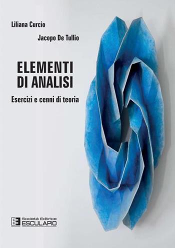 Elementi di analisi. Esercizi e cenni di teoria - Liliana Curcio, Jacopo De Tullio - Libro Esculapio 2016 | Libraccio.it