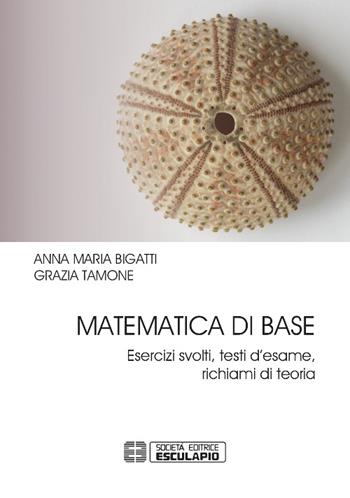 Matematica di base. Esercizi svolti, testi d'esame, richiami di teoria - Anna Maria Bigatti, Grazia Tamone - Libro Esculapio 2016 | Libraccio.it