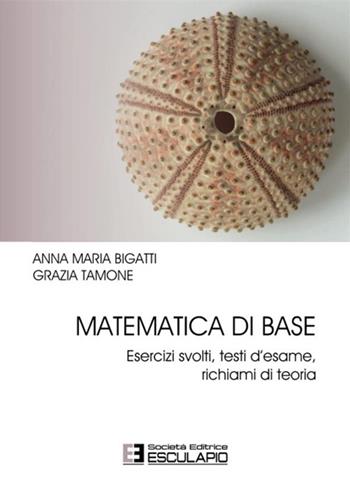 Matematica di base. Esercizi svolti, testi d'esame, richiami di teoria - Anna Maria Bigatti, Grazia Tamone - Libro Esculapio 2016 | Libraccio.it