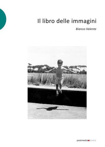 Il libro delle immagini. Ediz. illustrata - Bianco-Valente - Libro Postmedia Books 2020 | Libraccio.it