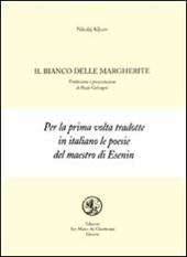Il bianco delle margherite