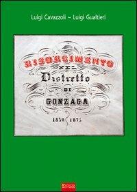 Risorgimento nel distretto di Gonzaga (1830-1875) - Luigi Cavazzoli, Luigi Gualtieri - Libro Sometti 2013 | Libraccio.it