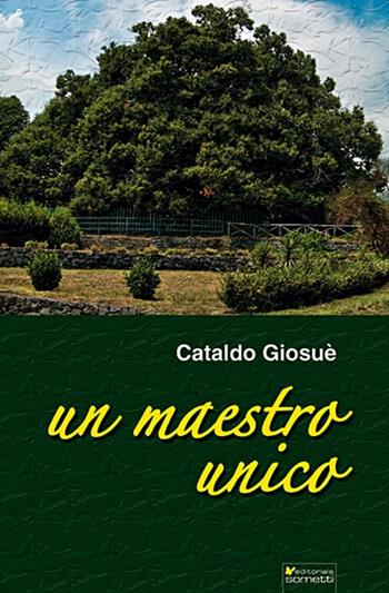 Un maestro unico - Giosuè Cataldo - Libro Sometti 2013, Nuove scritture | Libraccio.it