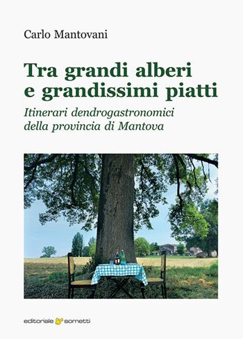 Tra grandi alberi e grandissimi piatti. Itinerari dendrogastronomici della provincia di Mantova - Carlo Mantovani - Libro Sometti 2021, Civiltà mantovana | Libraccio.it