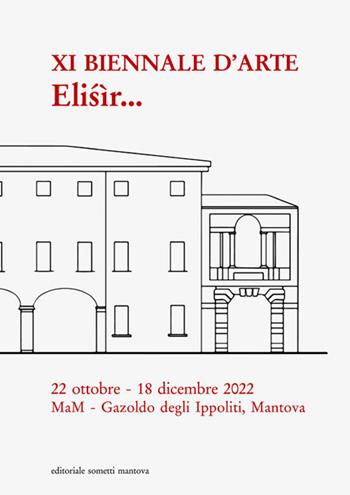 XI Biennale d'arte. Elisìr. Museo d'Arte Moderna dell'Alto Mantovano  - Libro Sometti 2022, Cataloghi d'arte | Libraccio.it