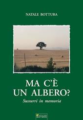 Ma c'è un albero?