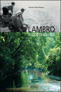 Lambro. Acque di Brianza - Domenico Flavio Ronzoni - Libro Bellavite Editore 2005, Vivere il territorio | Libraccio.it