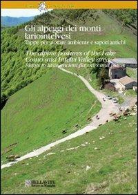 Gli alpeggi dei monti lariointelvesi. Tappe per gustare ambiente e sapori antichi. Ediz. italiana e inglese - Caterina Carminati, Michele Corti - Libro Bellavite Editore 2008, Tesori di Lombardia | Libraccio.it