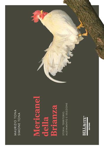Mericanel della Brianza. Storia, territorio, allevamento, selezione - Maurizio Tona, Simone Tona - Libro Bellavite Editore 2017 | Libraccio.it